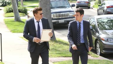 Bones 10x20