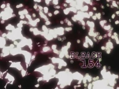 Bleach 1x154