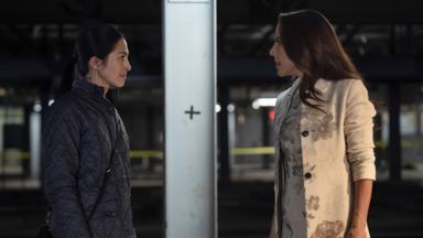 La Chica Que Limpia 3x5