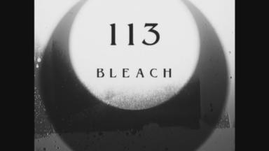 Bleach 1x113