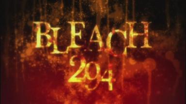 Bleach 1x294