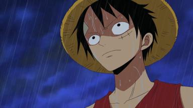 One Piece 8x255