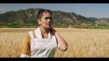 Pasión de gavilanes 2x71