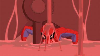 El Espectacular Hombre-Araña 2x4
