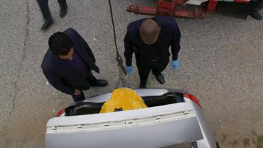 Mentes Criminales 6x24