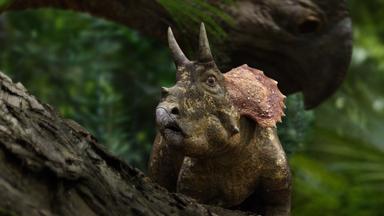 Planeta prehistórico 1x5