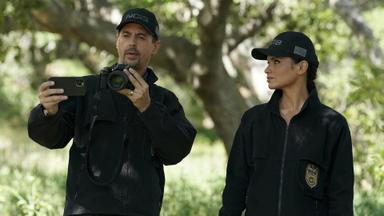 NCIS: Criminología Naval 19x21