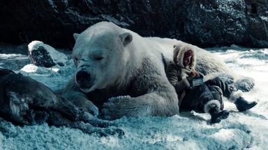 His Dark Materials 1x5