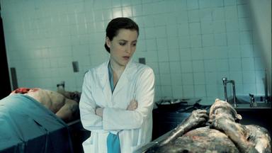 Los Expedientes Secretos X 4x12