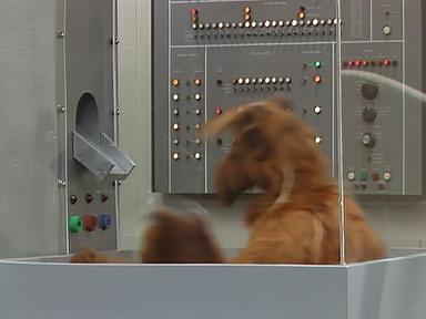 ALF 2x24