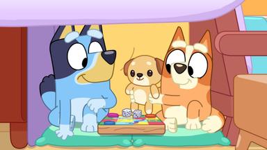 Bluey 3x38