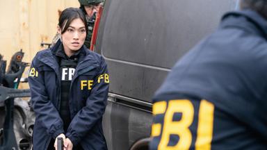 F.B.I. 2x13
