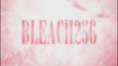 Bleach 1x256