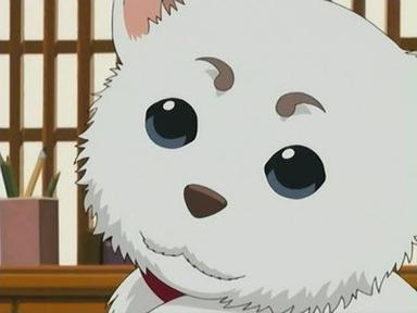 Gintama 1x10