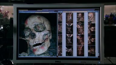 Bones 4x21