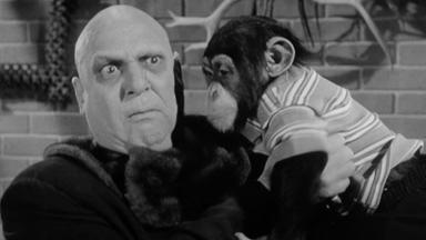 Los locos Addams 1x28