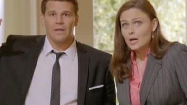 Bones 8x13