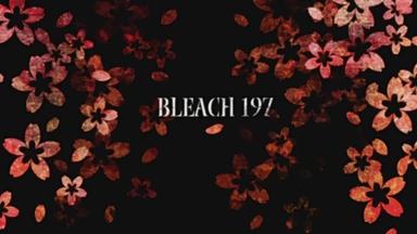 Bleach 1x197