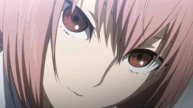 Steins Gate 1x17