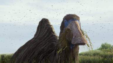 Planeta prehistórico 1x3