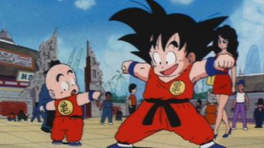 Dragon Ball 1x19