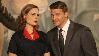 Bones 10x10