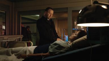 Códigos de familia 8x9