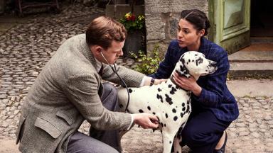 All Creatures Great & Small 3x2