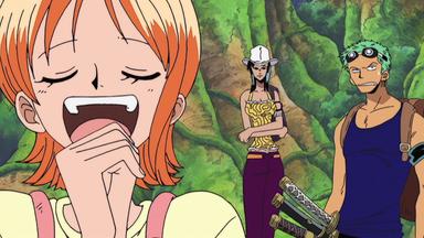 One Piece 6x165
