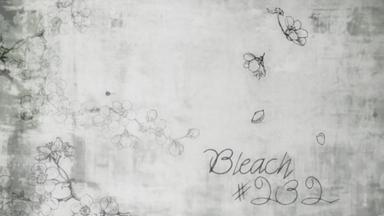 Bleach 1x232