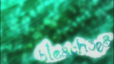 Bleach 1x308