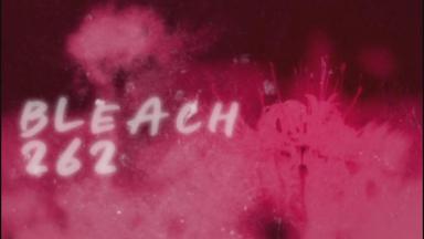 Bleach 1x262