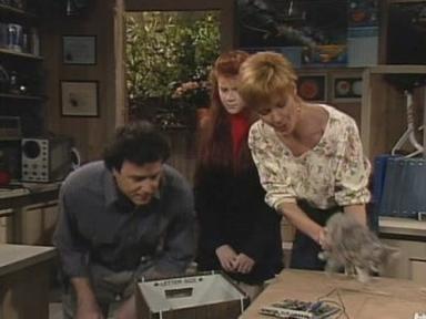 ALF 4x9