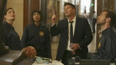 Bones 7x6