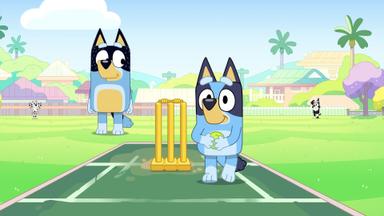 Bluey 3x47
