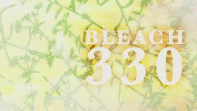 Bleach 1x330