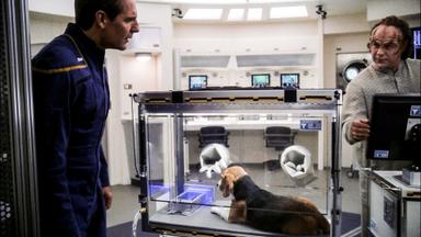 Viaje a las estrellas: Enterprise 2x5