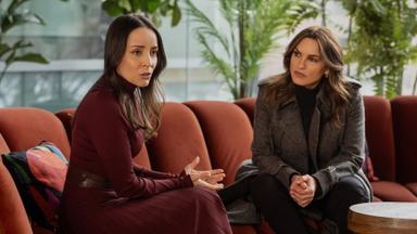 La Ley y el Orden: Unidad de Víctimas Especiales 27x16