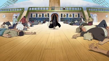 One Piece 9x316