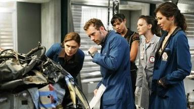 Bones 4x8