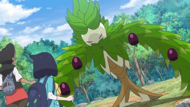Horizontes Pokémon: La serie 1x11