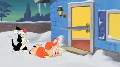 Looney Tunes Cartoons 3x2