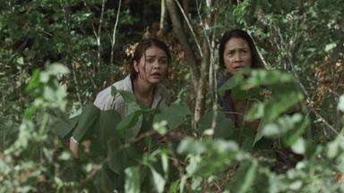Balaraw 1x6