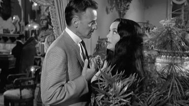 Los locos Addams 1x34