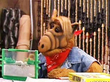ALF 3x21