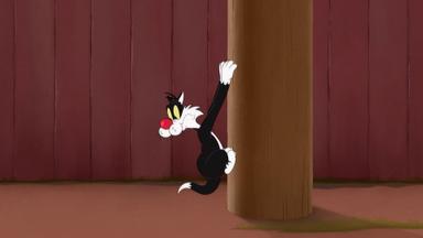 Looney Tunes Cartoons 2x5