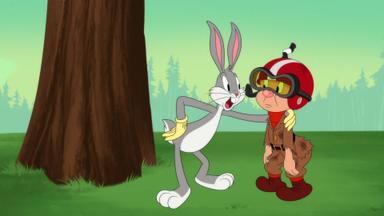 Looney Tunes Cartoons 3x8