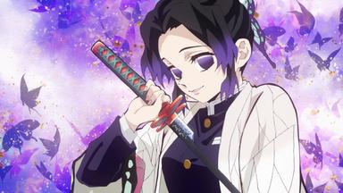 Demon Slayer: Kimetsu no Yaiba 1x20