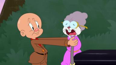 Looney Tunes Cartoons 4x9