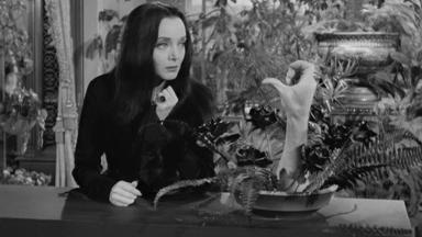 Los locos Addams 1x8